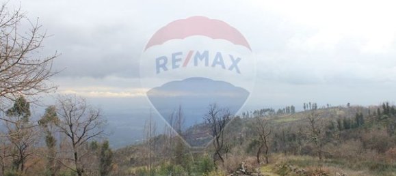 Terrain à Tondela, Portugal 2089m² No. 42459 2