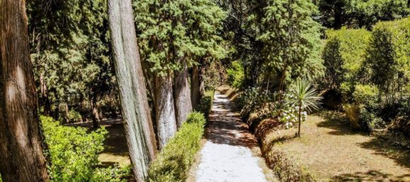 18 Schlafzimmer Haus in Camaiore, Italy, Nr. 377434 4