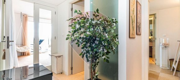 Studio in Grandola, Portugal No. 60282 14