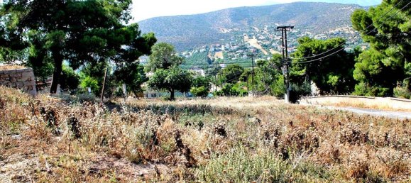  فندق في Koropi, Greece 1200متر مربع رقم 7110 3