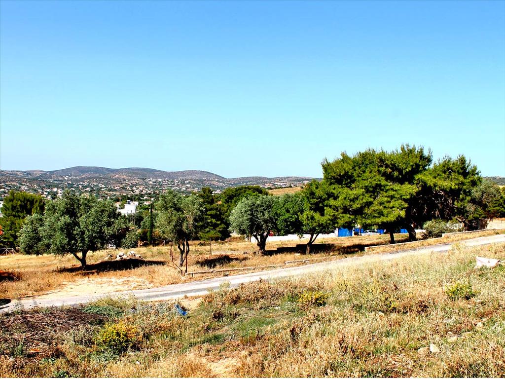  فندق في Koropi, Greece 1200متر مربع رقم 7110