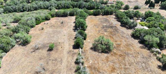  Land in Mallorca, Spain No. 156944 8