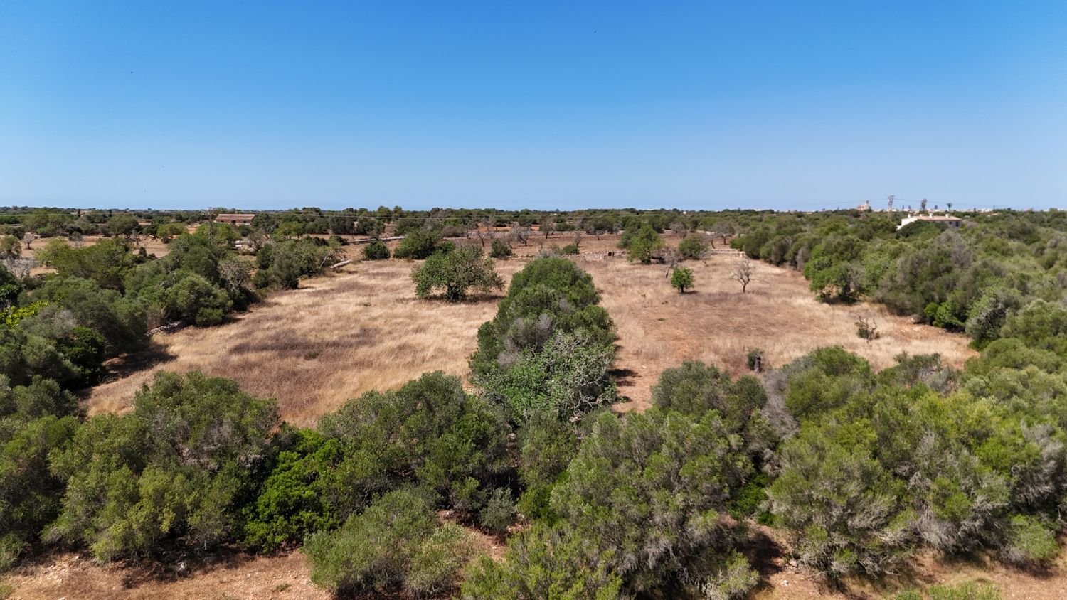  Land in Mallorca, Spain No. 156944