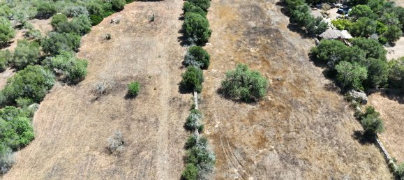  Land in Mallorca, Spain No. 156944 2