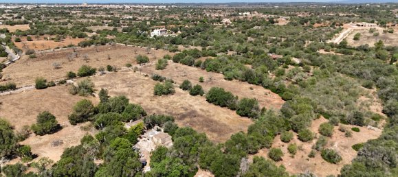  Land in Mallorca, Spain No. 156944 4