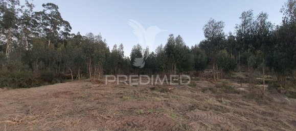 16000m² Land in Penafiel, Portugal No. 54410 4