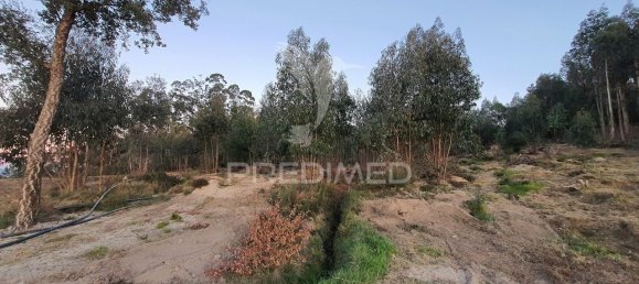 16000m² Land in Penafiel, Portugal No. 54410 3