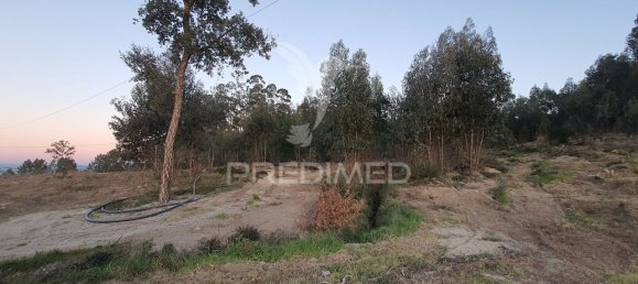 16000m² Land in Penafiel, Portugal No. 54410 2