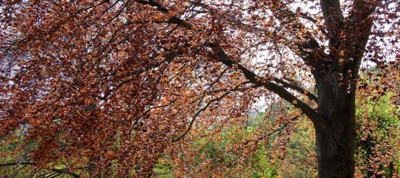 Terreno em Pinneberg, Germany N.º 85588 2