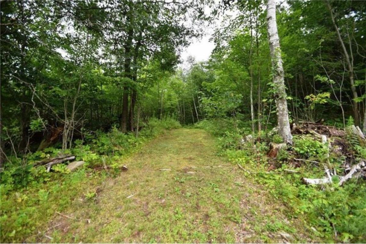 Studio in Webster, USA No. 430317