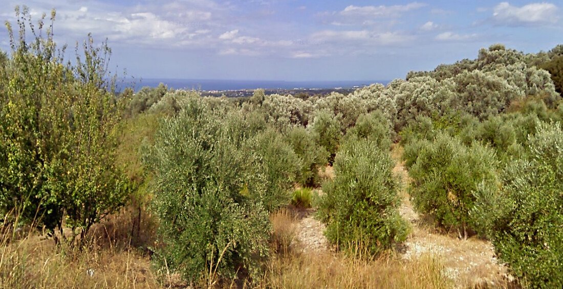 8500m² Hotel in Rethymno, Greece No. 6098