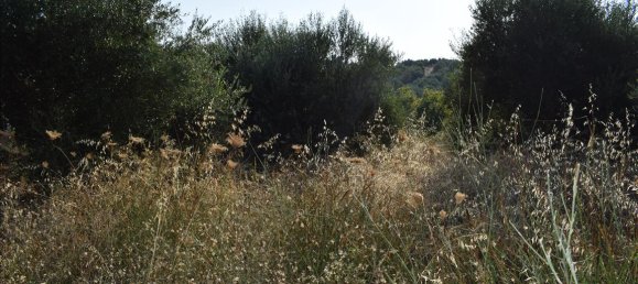 8500m² Hotel in Rethymno, Greece No. 6098 3