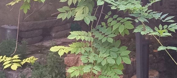 7 bedrooms Apartment in Fara in Sabina, Italy No. 339001 16