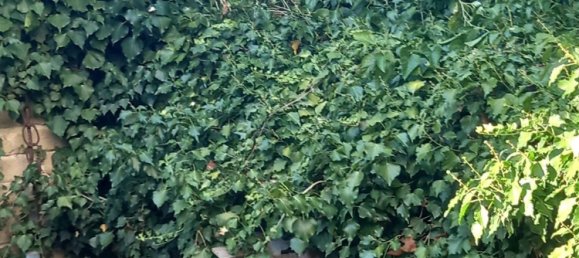 7 bedrooms Apartment in Fara in Sabina, Italy No. 339001 17