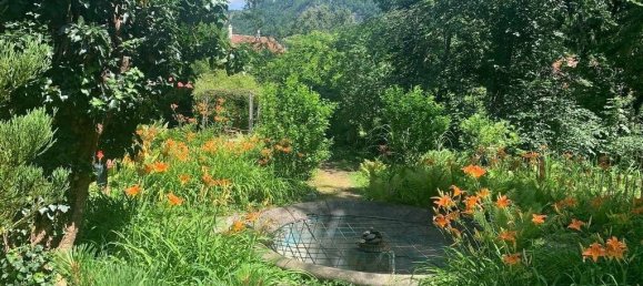  Land in Deutschfeistritz, Austria No. 131278 3