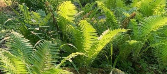  Land in Deutschfeistritz, Austria No. 131278 4