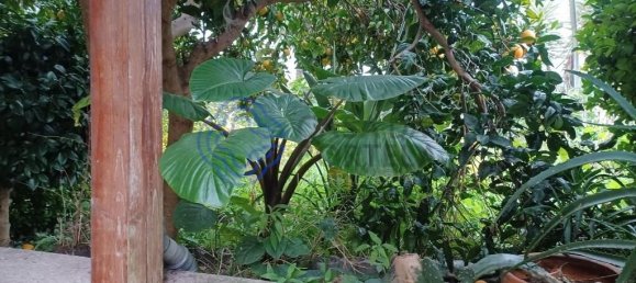 5 bedrooms House in Santo Tirso, Portugal No. 105147 17