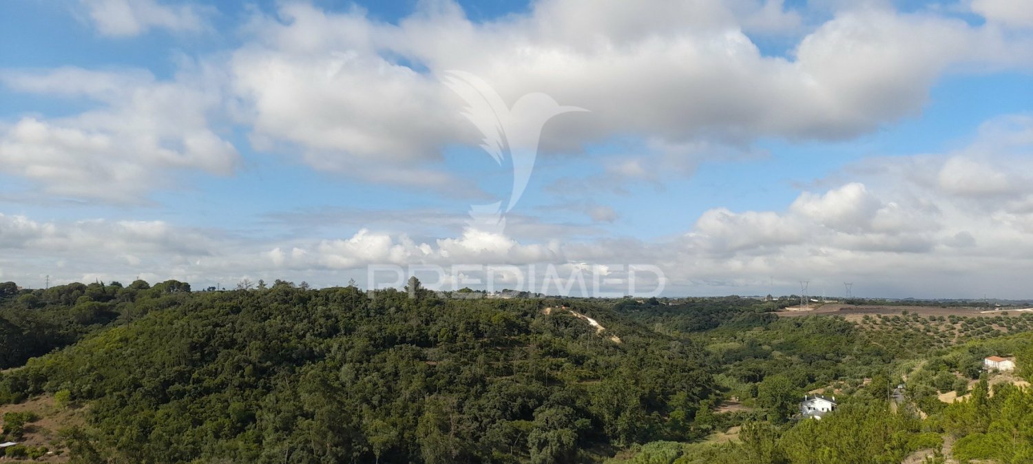 Земельный участок 41320м² в Сантарен, Португалия № 63864