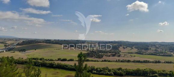 Terreno em Santarém, Portugal 41320 m² N.º 63864 3