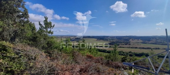 Terreno em Santarém, Portugal 41320 m² N.º 63864 5