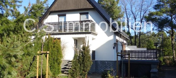 3 bedrooms House in Coswig, Germany No. 57004 2