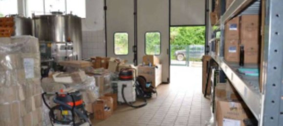 4 rooms Apartment in Scansano, Italy No. 39143 5