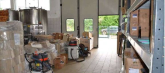 4 rooms Apartment in Scansano, Italy No. 39143 4