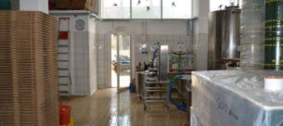 4 rooms Apartment in Scansano, Italy No. 39143 6