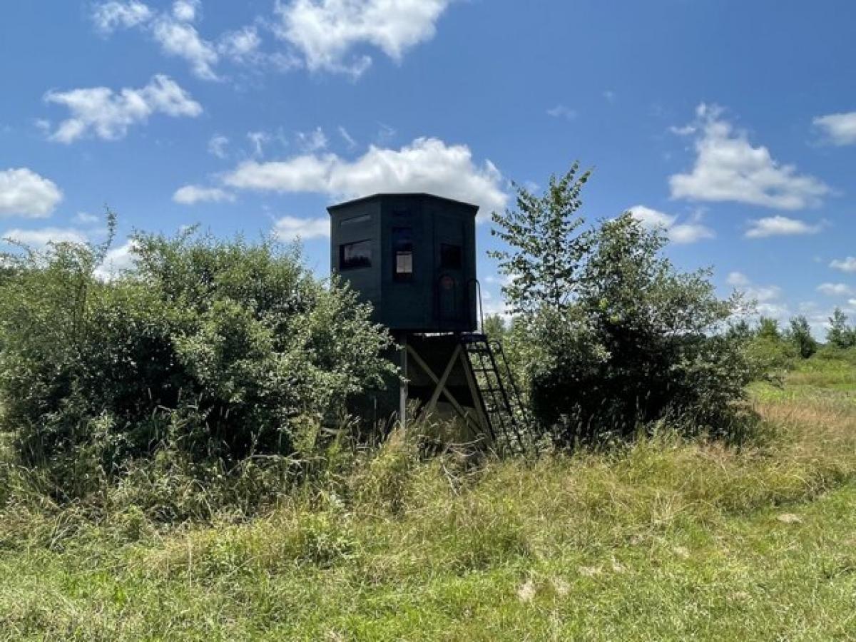 Terreno en Imlay City, USA No. 504598