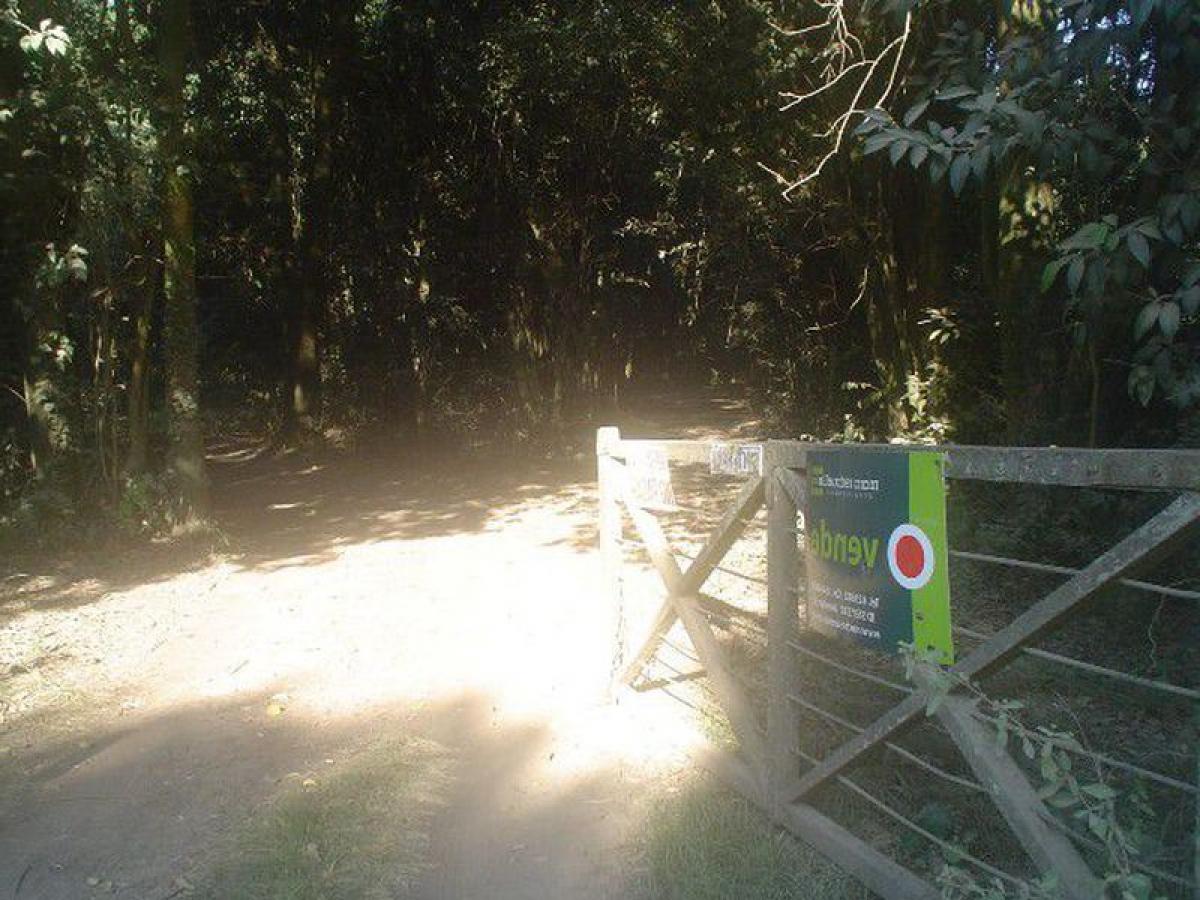 Terrain à Chascomus, Argentina No. 47091