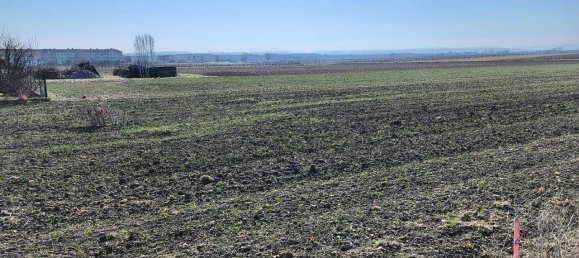 1000m² Land in Eisenstadt, Austria No. 239430 2