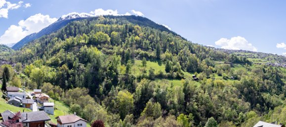 5 Schlafzimmer Haus in Nendaz, Switzerland, Nr. 229 4