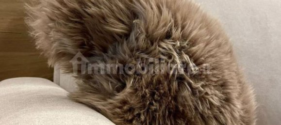 2 bedrooms Apartment in Limone Piemonte, Italy No. 284570 48