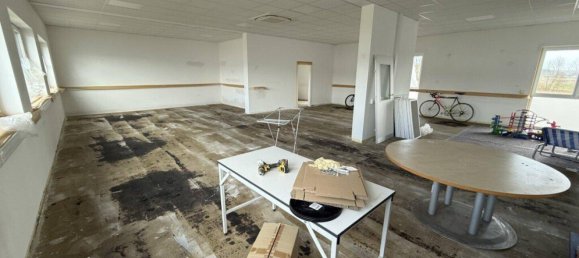 Lagerhaus in Gallneukirchen, Austria 707m², Nr. 243672 19