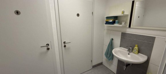 Lagerhaus in Gallneukirchen, Austria 707m², Nr. 243672 9