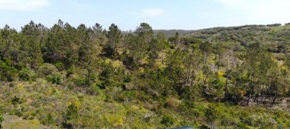 Grundstück in Aljezur, Portugal 238500m², Nr. 151548 10