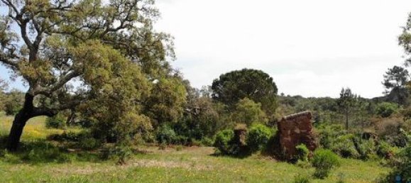 Grundstück in Aljezur, Portugal 238500m², Nr. 151548 12