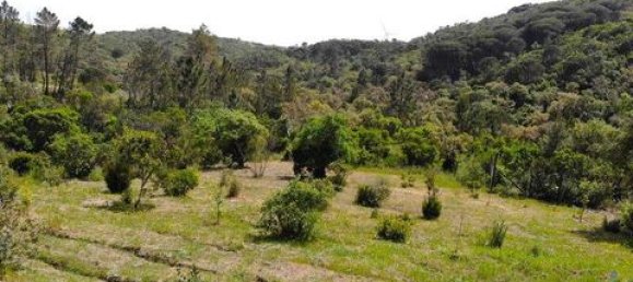 Grundstück in Aljezur, Portugal 238500m², Nr. 151548 7