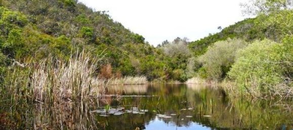 Grundstück in Aljezur, Portugal 238500m², Nr. 151548 4