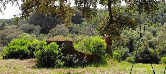 Grundstück in Aljezur, Portugal 238500m², Nr. 151548 13