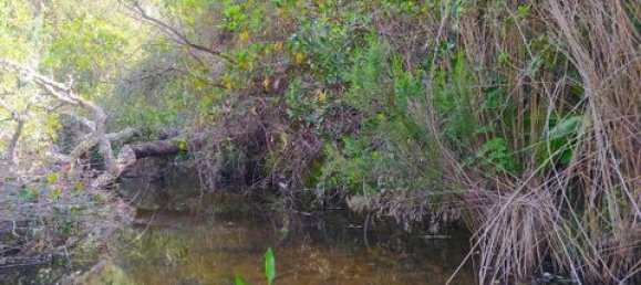 Grundstück in Aljezur, Portugal 238500m², Nr. 151548 15