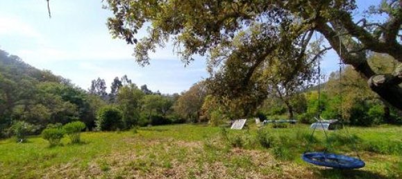 Grundstück in Aljezur, Portugal 238500m², Nr. 151548 16