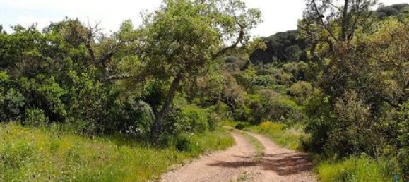 Grundstück in Aljezur, Portugal 238500m², Nr. 151548 8