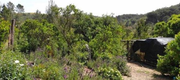 Grundstück in Aljezur, Portugal 238500m², Nr. 151548 9