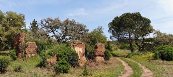 Grundstück in Aljezur, Portugal 238500m², Nr. 151548 11