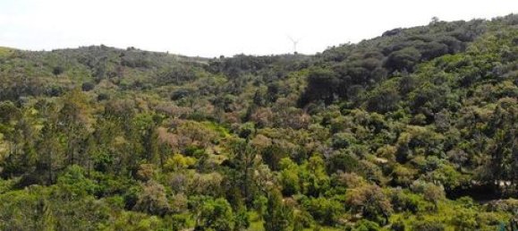 Grundstück in Aljezur, Portugal 238500m², Nr. 151548 6