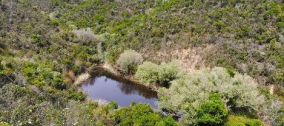 Grundstück in Aljezur, Portugal 238500m², Nr. 151548 3