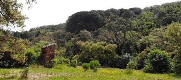 Grundstück in Aljezur, Portugal 238500m², Nr. 151548 14