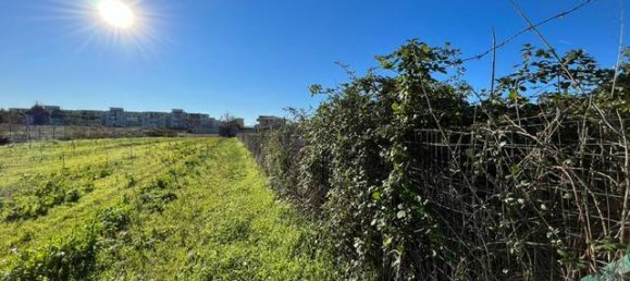  قطعة أرض في Giugliano in Campania, Italy 10000متر مربع رقم 141907 3