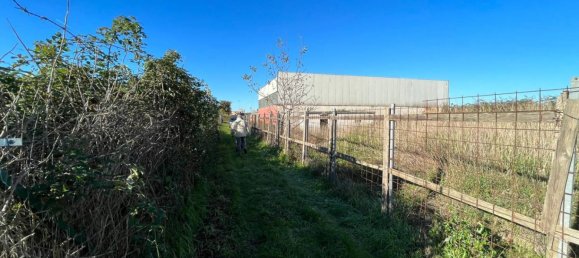  قطعة أرض في Giugliano in Campania, Italy 10000متر مربع رقم 141907 6